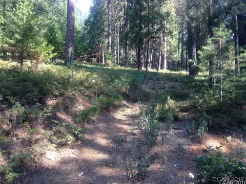 3078 Murphys Dr, Arnold, CA 95223 photo 3