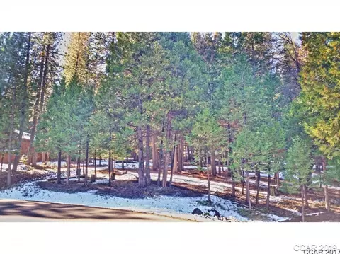 1990 Antler Dr, Arnold, CA 95223 photo 1