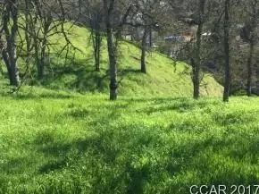 4334 Council Trl, Copperopolis, CA 95228 photo 5