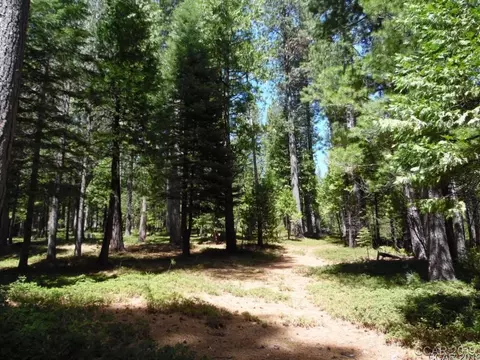 1620 Pine Dr, Arnold, CA 95223 photo 8