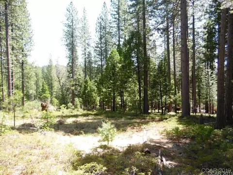 1620 Pine Dr, Arnold, CA 95223 photo 20