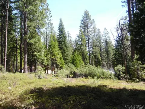 1620 Pine Dr, Arnold, CA 95223 photo 21