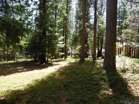 1620 Pine Dr, Arnold, CA 95223 photo 13