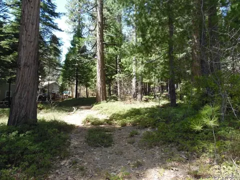 1620 Pine Dr, Arnold, CA 95223 photo 5
