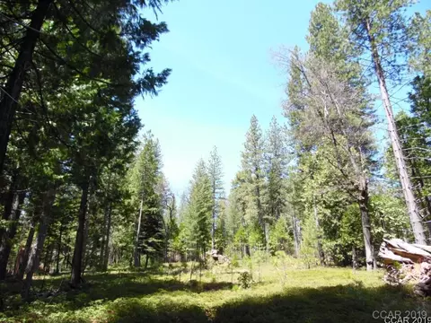 1620 Pine Dr, Arnold, CA 95223 photo 16