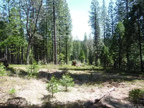 1620 Pine Dr, Arnold, CA 95223 photo 24