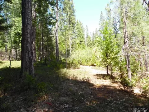 1620 Pine Dr, Arnold, CA 95223 photo 23