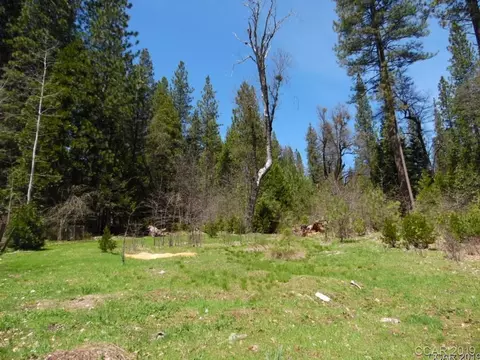 1620 Pine Dr, Arnold, CA 95223 photo 2