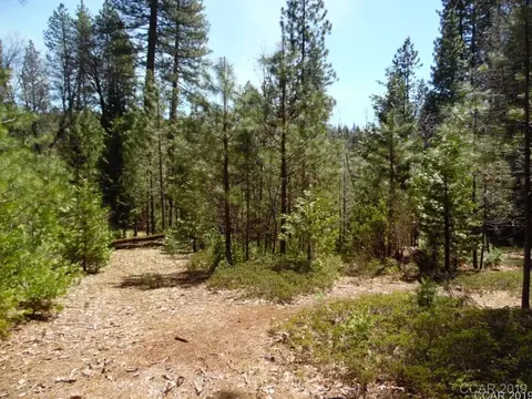 1620 Pine Dr, Arnold, CA 95223 photo 6