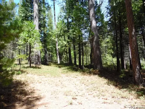 1620 Pine Dr, Arnold, CA 95223 photo 10