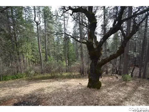 1664 Tamarack, Arnold, CA 95223 photo 3