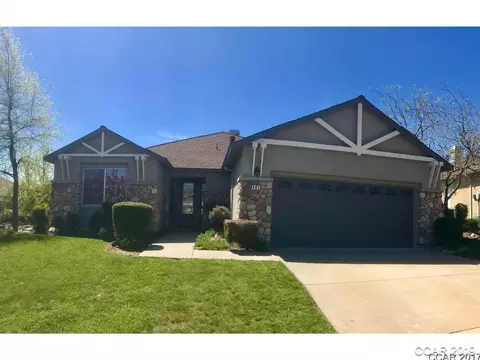 447 Mitchell Lake Ct, Copperopolis, CA 95228 photo 1