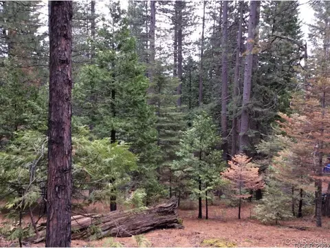 3257 Apache Rd, Dorrington, CA 95223 photo 2