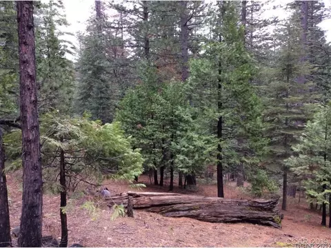 3257 Apache Rd, Dorrington, CA 95223 photo 5