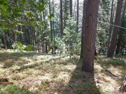 3257 Apache Rd, Dorrington, CA 95223 photo 1