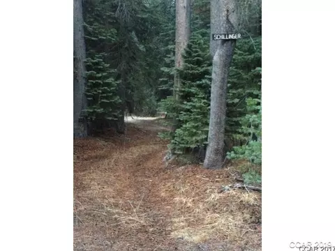 339 Silvertip, Bear Valley, CA 95223 photo 3