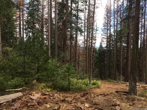 3071 Forest, Arnold, CA 95223 photo 1