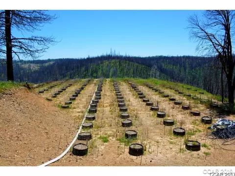 1106 Doe Rd, Mokelumne Hill, CA 95245 photo 1