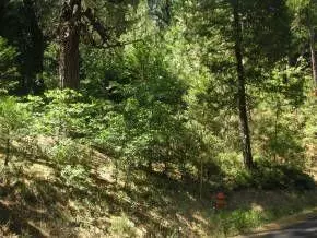 2836 Venado Dr, Arnold, CA 95223 photo 7