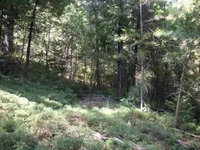 2836 Venado Dr, Arnold, CA 95223 photo 3