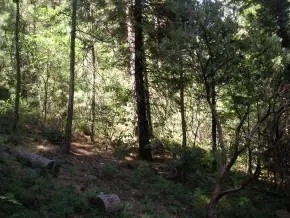 2836 Venado Dr, Arnold, CA 95223 photo 4