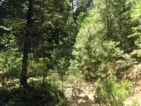 2836 Venado Dr, Arnold, CA 95223 photo 1