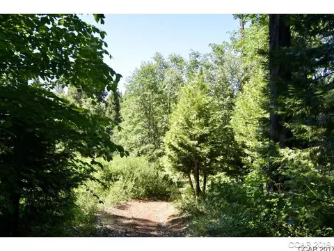 3473 Fairway Dr, Arnold, CA 95223 photo 9