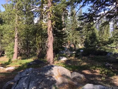 449 Aspen, Arnold, CA 95223 photo 3