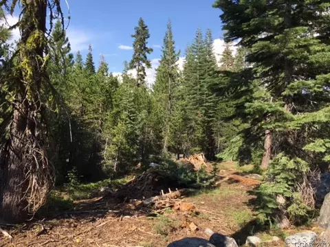449 Aspen, Arnold, CA 95223 photo 4