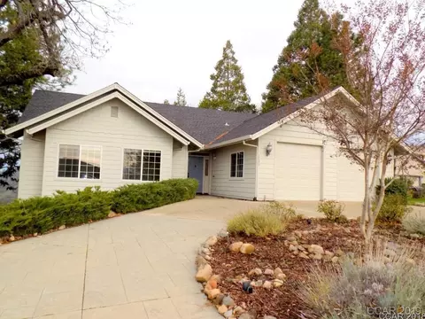 1033 Buckthorn Dr, Murphys, CA 95247 photo 1