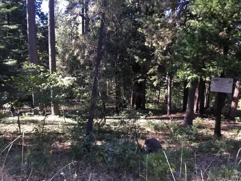 1994 Belmont, Arnold, CA 95223 photo 1