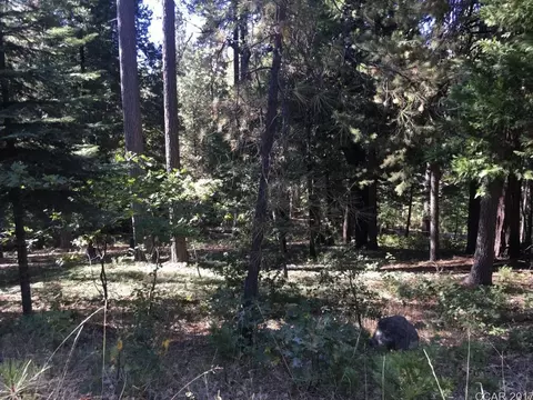 1994 Belmont, Arnold, CA 95223 photo 4