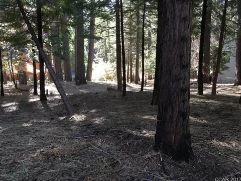 1994 Belmont, Arnold, CA 95223 photo 5