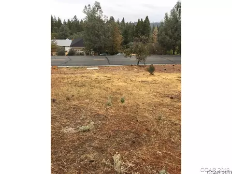 297 Forest Meadows Dr, Murphys, CA 95247 photo 4