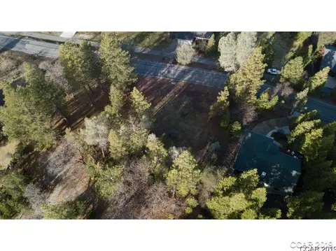 297 Forest Meadows Dr, Murphys, CA 95247 photo 1