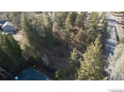 297 Forest Meadows Dr, Murphys, CA 95247 photo 3