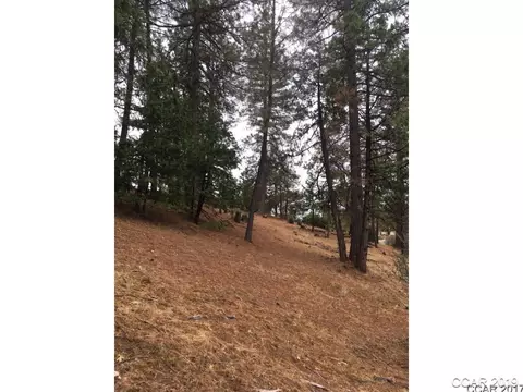 297 Forest Meadows Dr, Murphys, CA 95247 photo 6