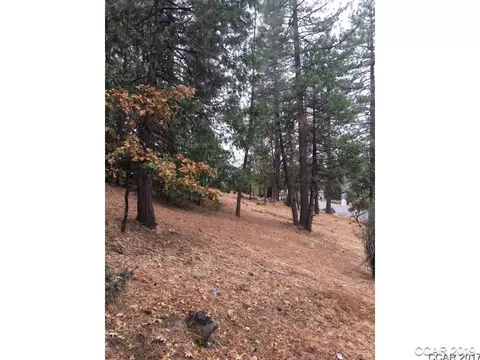 297 Forest Meadows Dr, Murphys, CA 95247 photo 7