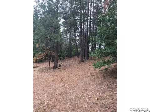 297 Forest Meadows Dr, Murphys, CA 95247 photo 5