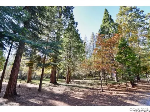 2075 Mitchell Dr, Arnold, CA 95223 photo 2