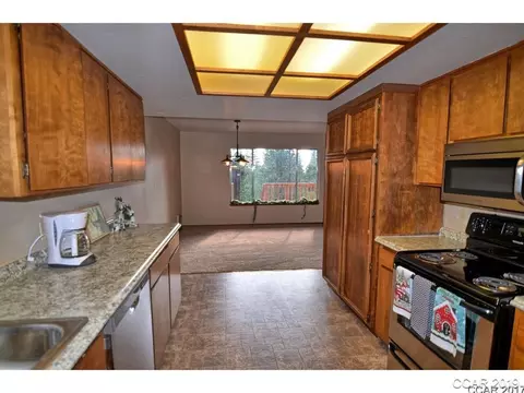1668 Jerrilynn Dr, Arnold, CA 95223 photo 8