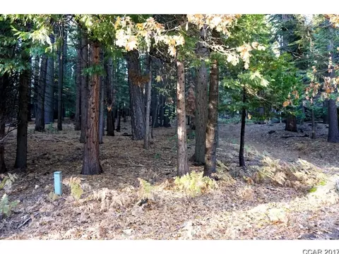2821 Ute Pl, Dorrington, CA 95223 photo 1
