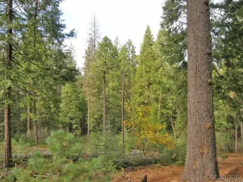 3088 Dalmatia Dr, Arnold, CA 95223 photo 3