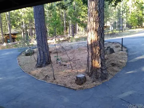 2737 Black Oak Dr, Arnold, CA 95223 photo 3