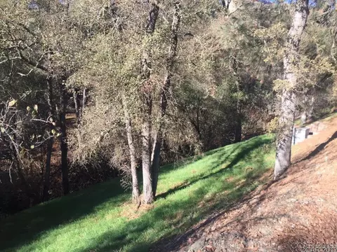 98 Poker Flat Rd, Copperopolis, CA 95228 photo 3