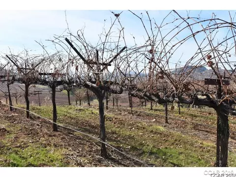 8279 Airola Rd, Vallecito, CA 95251 photo 3