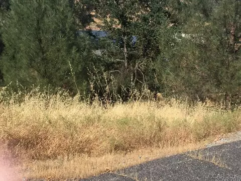 4256 Tomahawk Trl, Copperopolis, CA 95228 photo 6