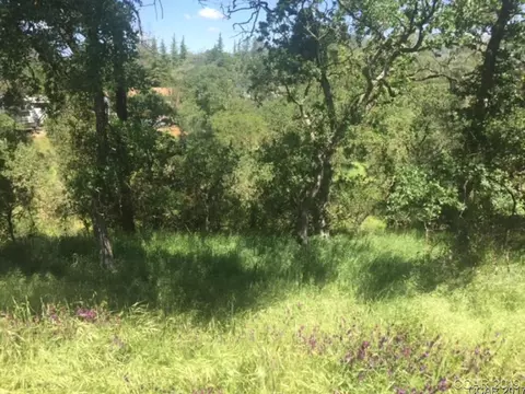 4569 Tomahawk Trl, Copperopolis, CA 95228 photo 5