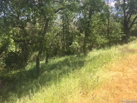 4569 Tomahawk Trl, Copperopolis, CA 95228 photo 3