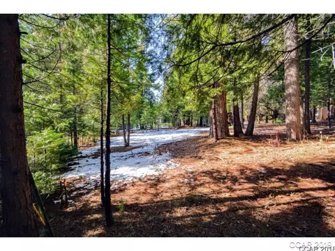3471 Gardner Flat Rd, Dorrington, CA 95223 photo 1